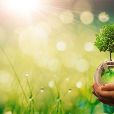 20-facts-about-sustainable-sourcing-1728450763